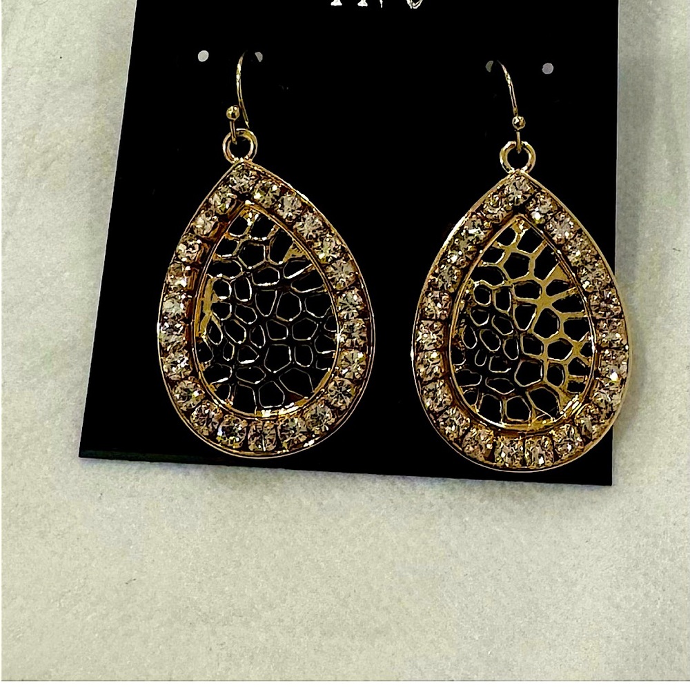 Accent brand new gorgeous earrings